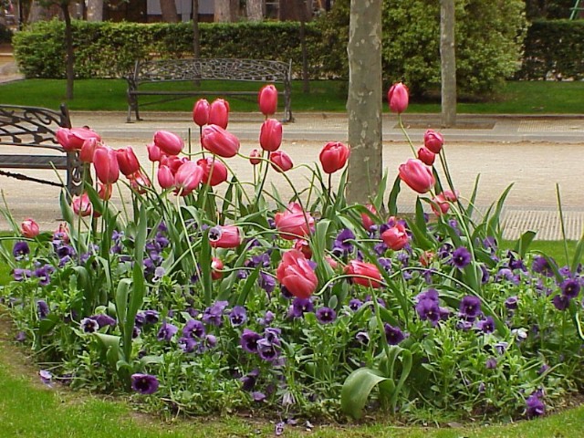 Foto de Huesca (Aragón), España