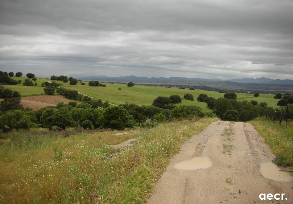 Foto de Majadahonda (Madrid), España