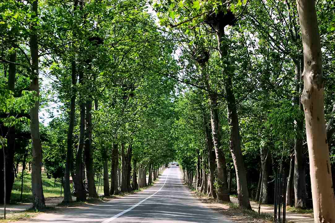Foto de Madrid (Comunidad de Madrid), España