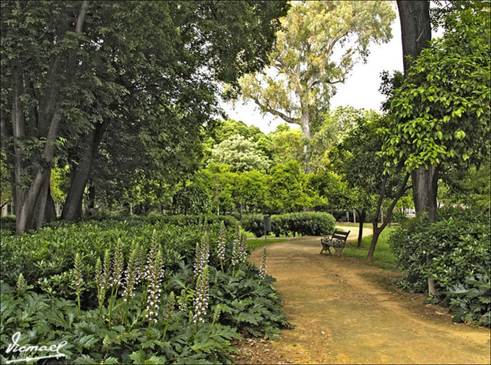 Foto de Sevilla (Andalucía), España