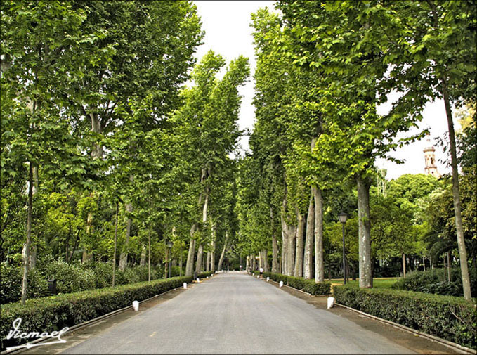 Foto de Sevilla (Andalucía), España