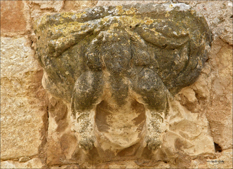 Foto de Mesones de Isuela (Zaragoza), España