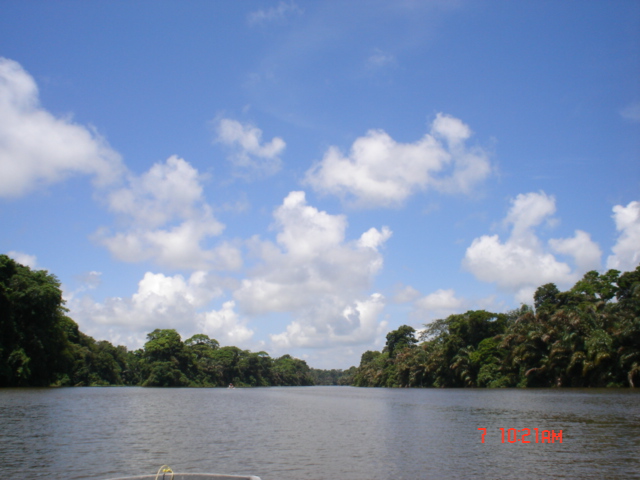 Foto de Tortuguero, Costa Rica
