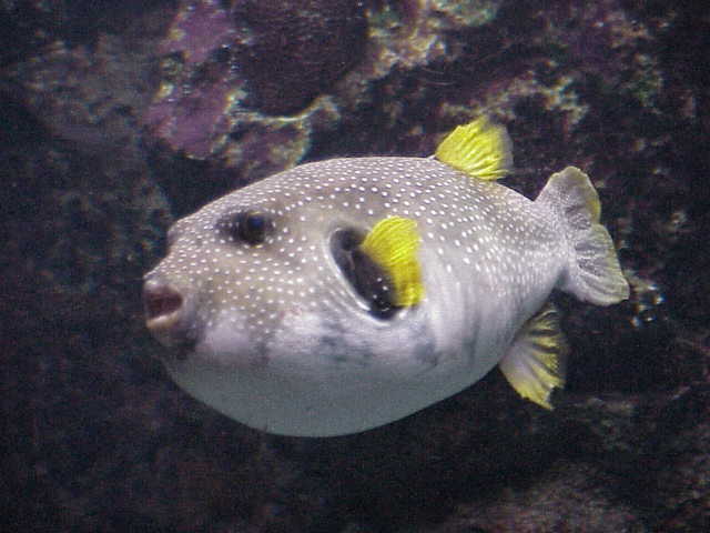 Foto de Barcelona (Cataluña), España