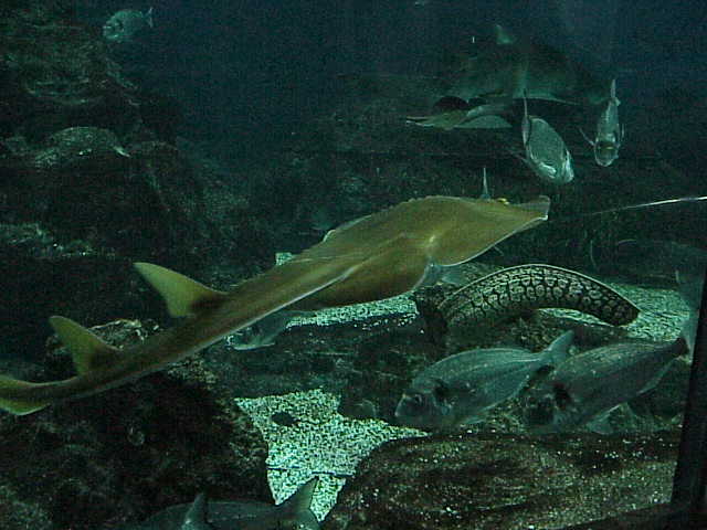 Foto de Barcelona (Cataluña), España