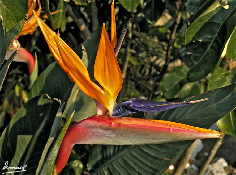 Foto de Benalmádena (Málaga), España