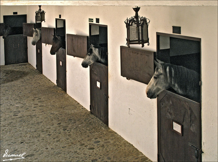 Foto de Ronda (Málaga), España