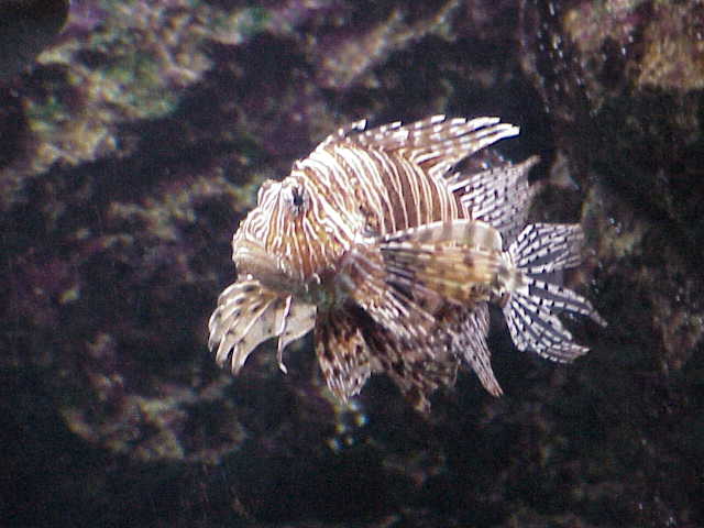 Foto de Barcelona (Cataluña), España