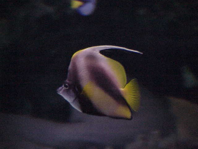 Foto de Barcelona (Cataluña), España