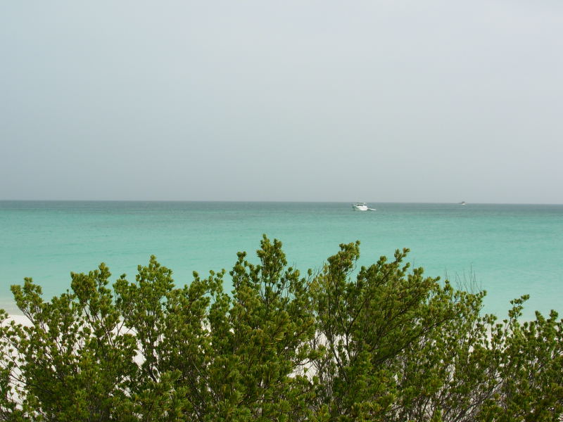 Foto de Isla La Tortuga, Venezuela