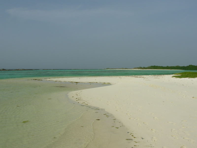 Foto de Isla La Tortuga, Venezuela