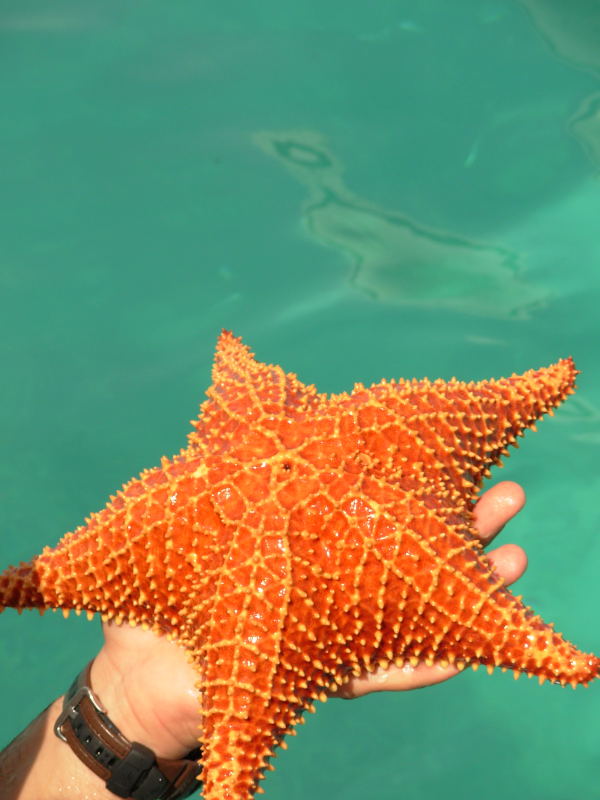 Foto de Isla La Tortuga, Venezuela