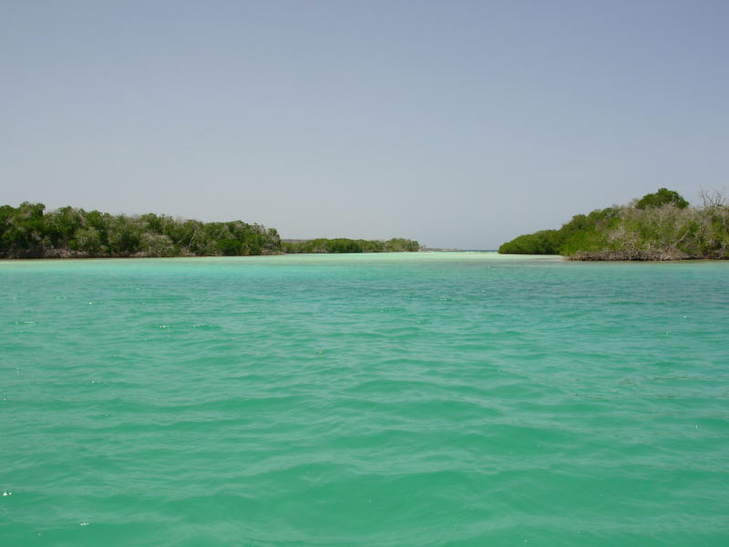 Foto de Isla La Tortuga, Venezuela