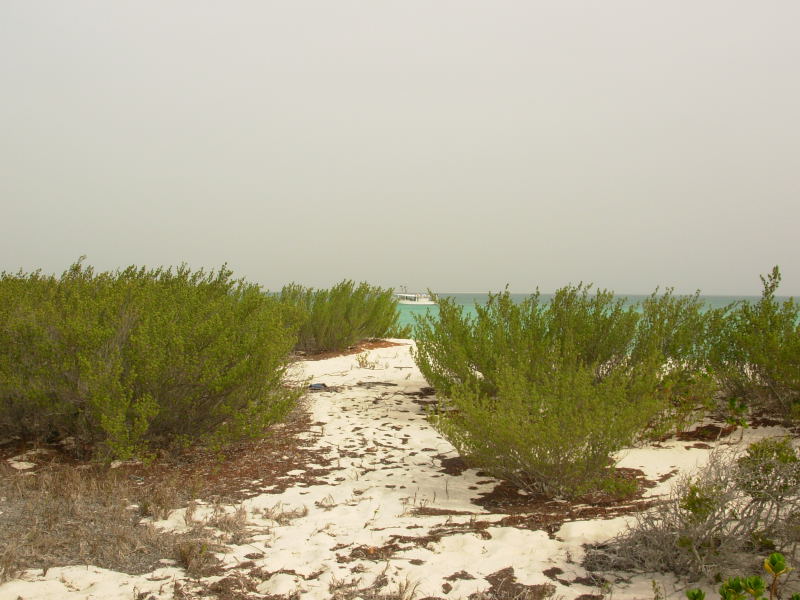 Foto de Isla La Tortuga, Venezuela