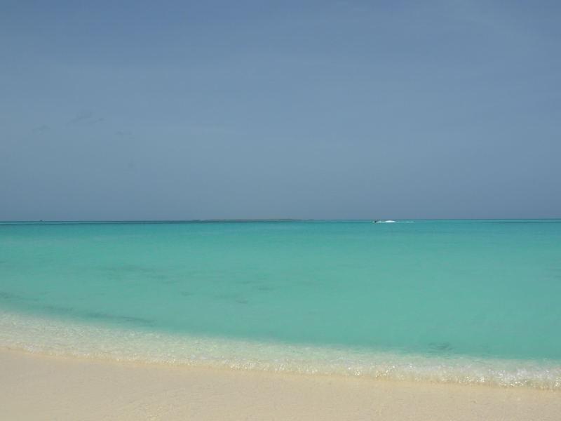 Foto de Isla La Tortuga, Venezuela