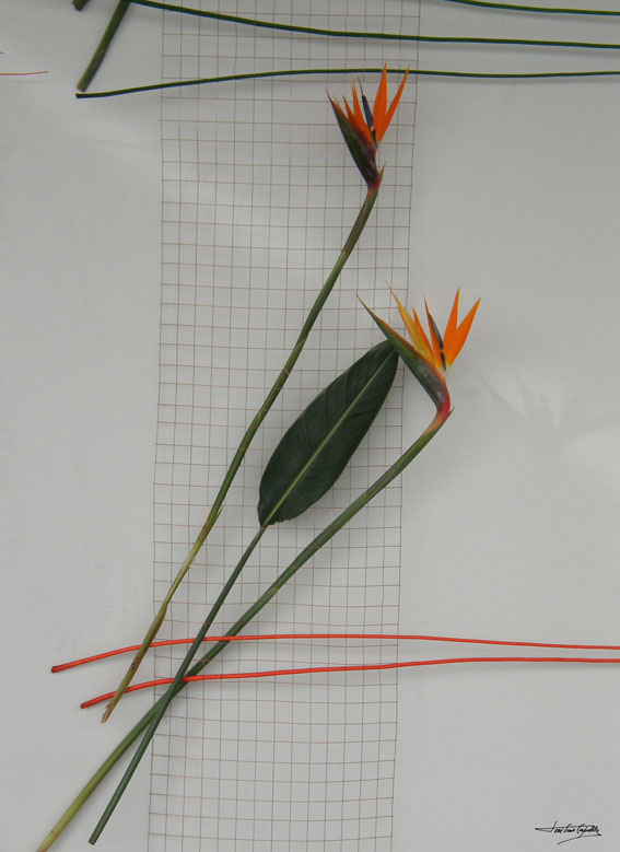 Foto de Zaragoza (Aragón), España