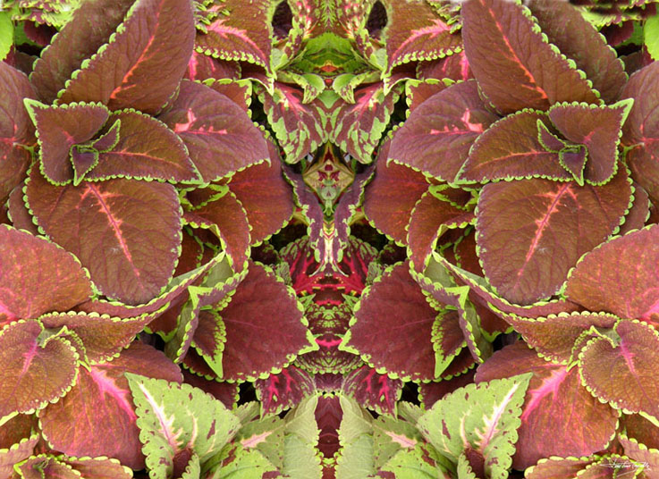 Foto de Zaragoza (Aragón), España