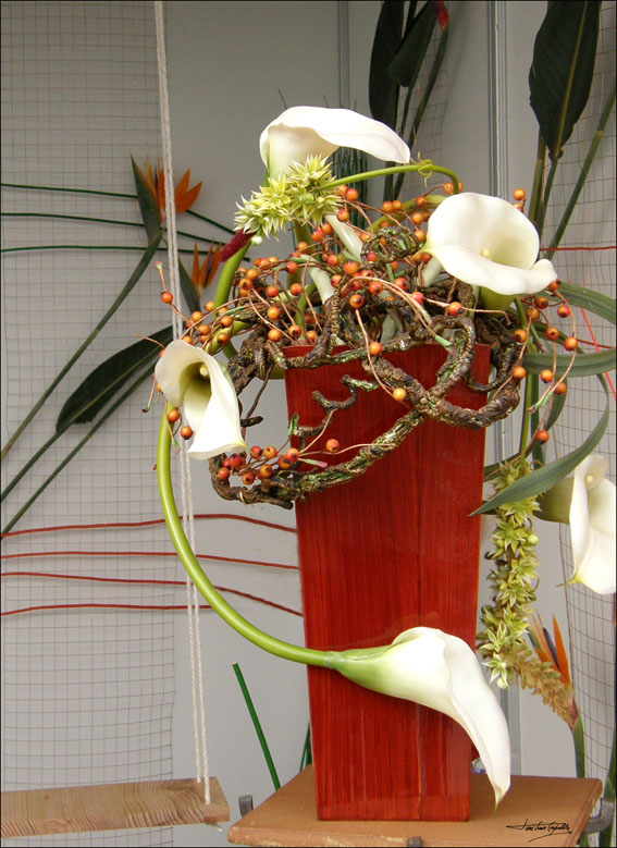 Foto de Zaragoza (Aragón), España