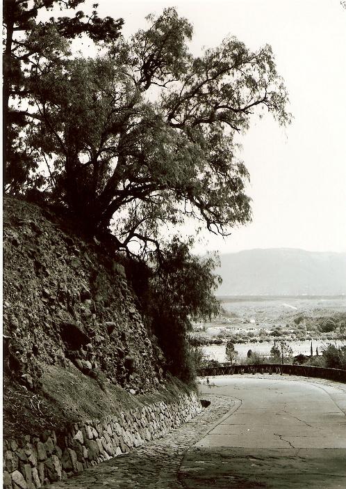 Foto de Mendoza, Argentina