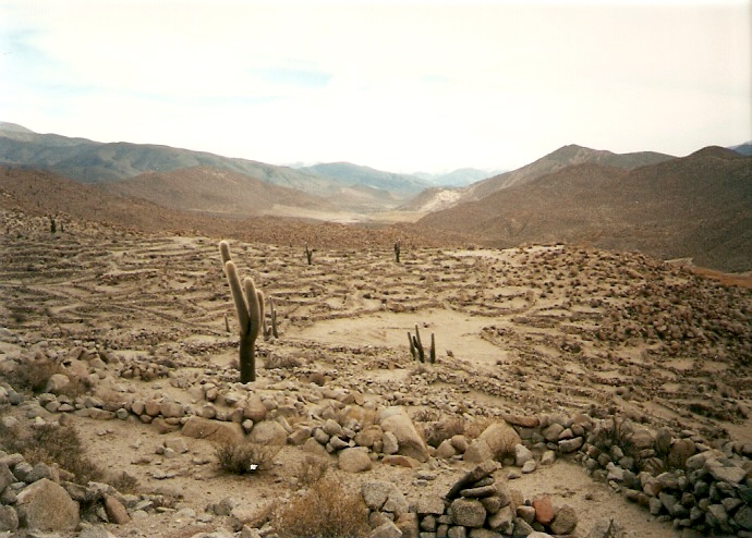 Foto de Valles Calchaquíes - Salta, Argentina