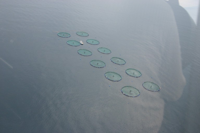 Foto de Málaga (Andalucía), España