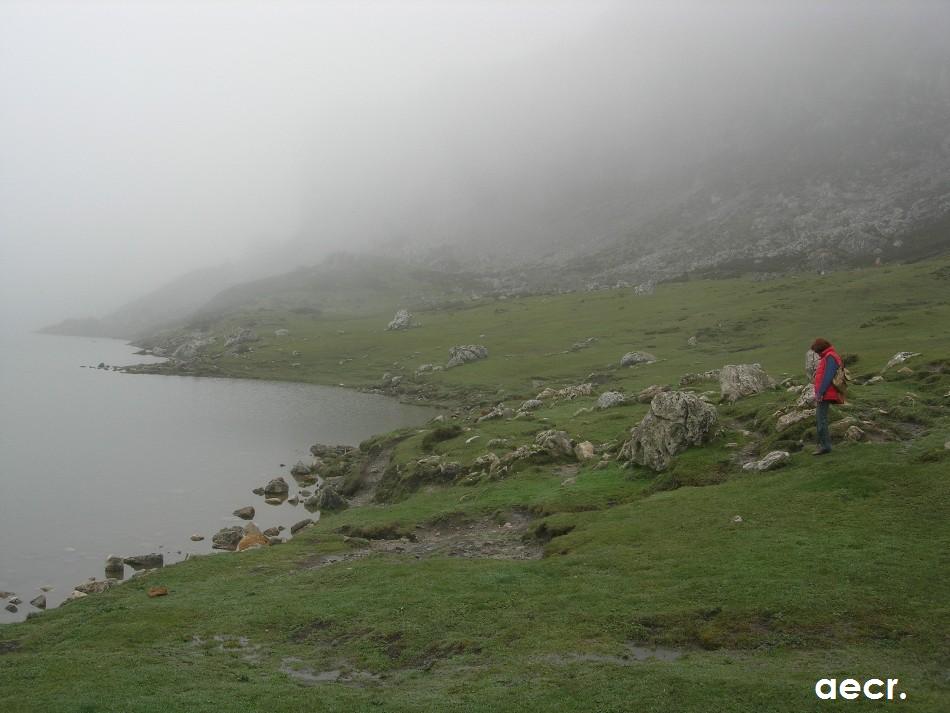 Foto de Parque Nacional de Covadonga. (Asturias), España