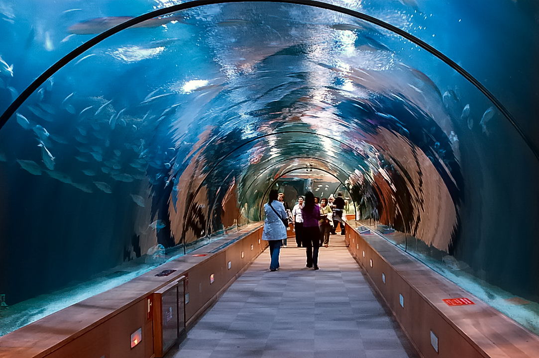 Foto de Valencia (València), España