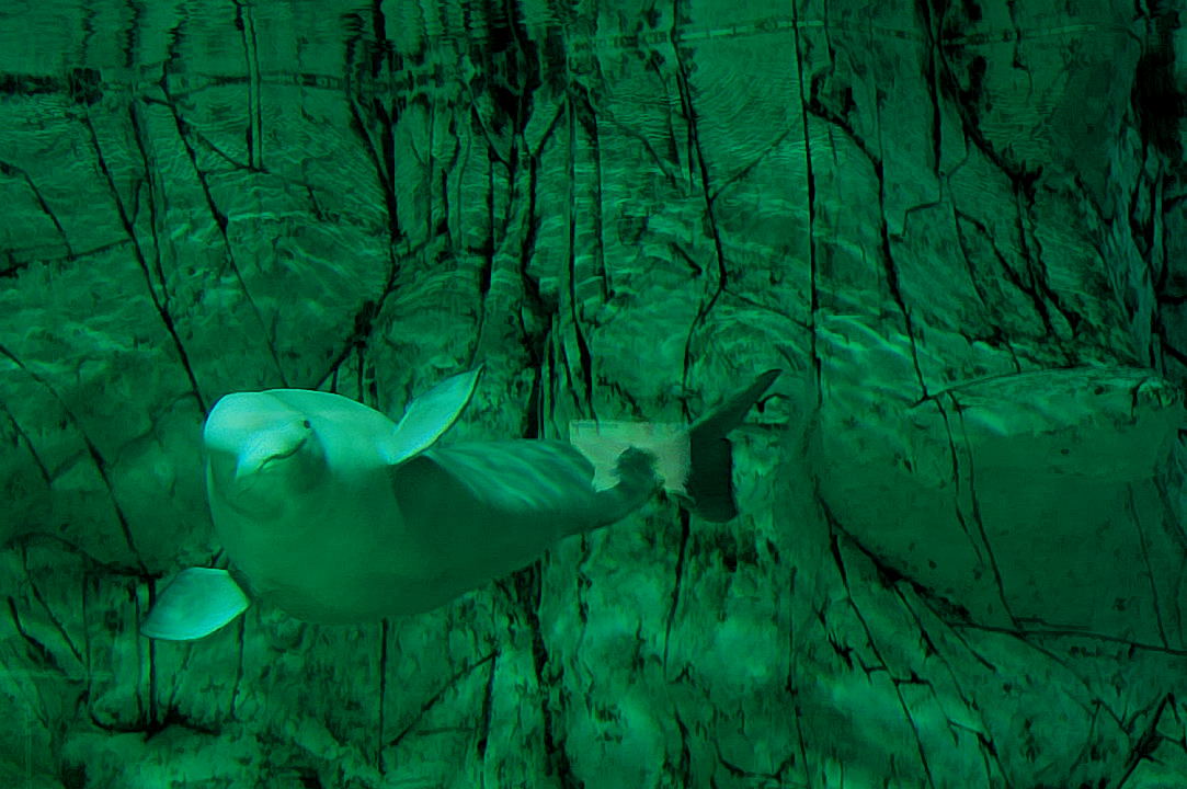 Foto de Valencia (València), España