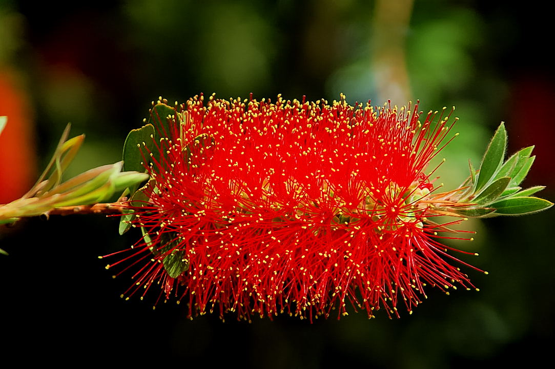 Foto de Valencia (València), España