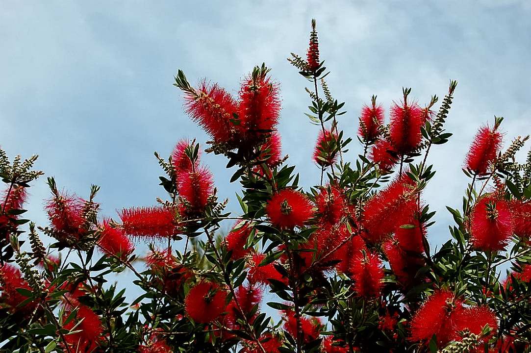 Foto de Valencia (València), España