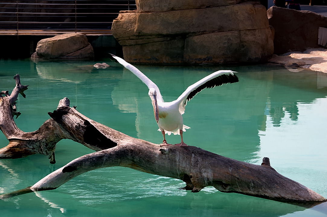 Foto de Valencia (València), España