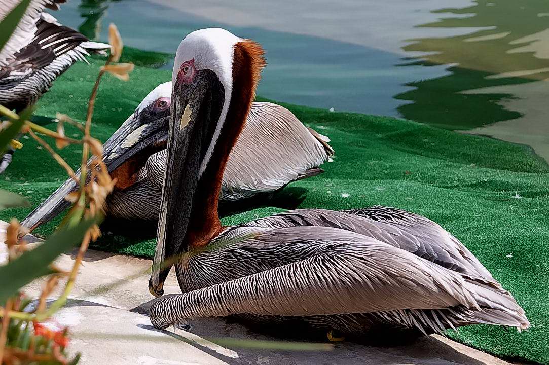 Foto de Valencia (València), España