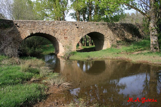 Foto de Noviercas (Soria), España