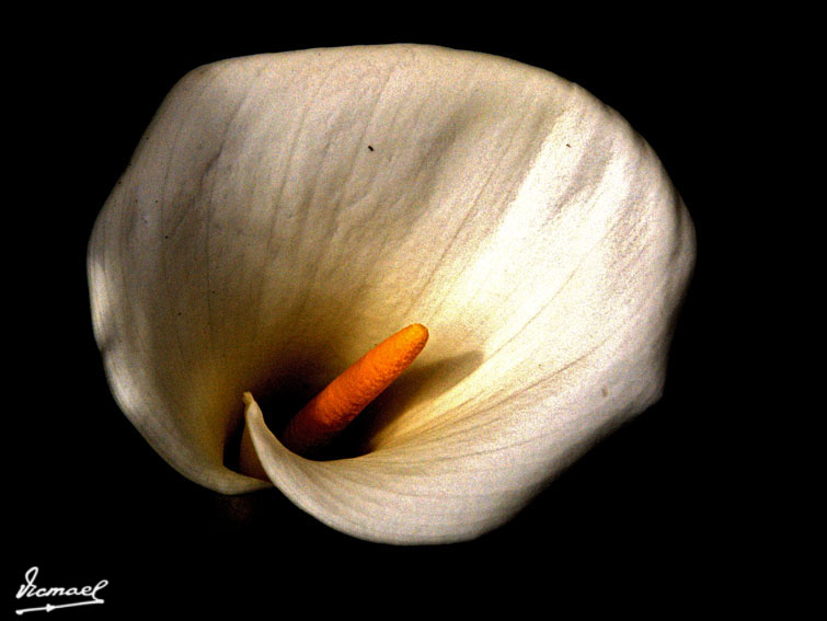 Foto de Aguarón (Zaragoza), España