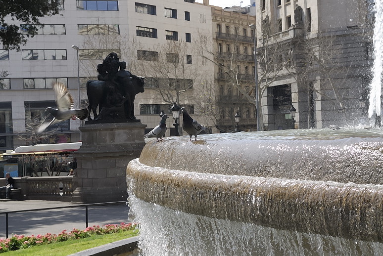 Foto de Barcelona (Cataluña), España