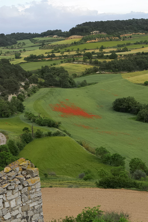 Foto de Montfalco Murallat (Lleida), España