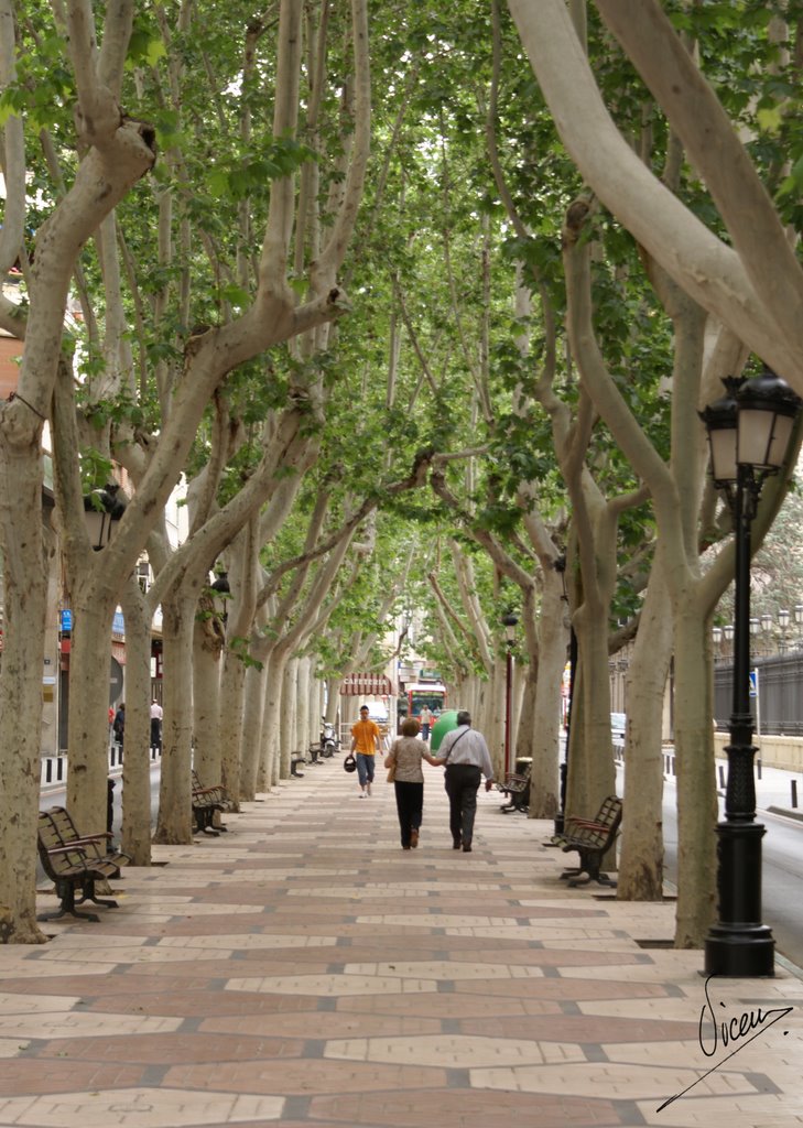 Foto de Albacete (Castilla La Mancha), España