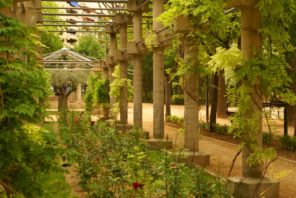 Foto de Albacete (Castilla La Mancha), España