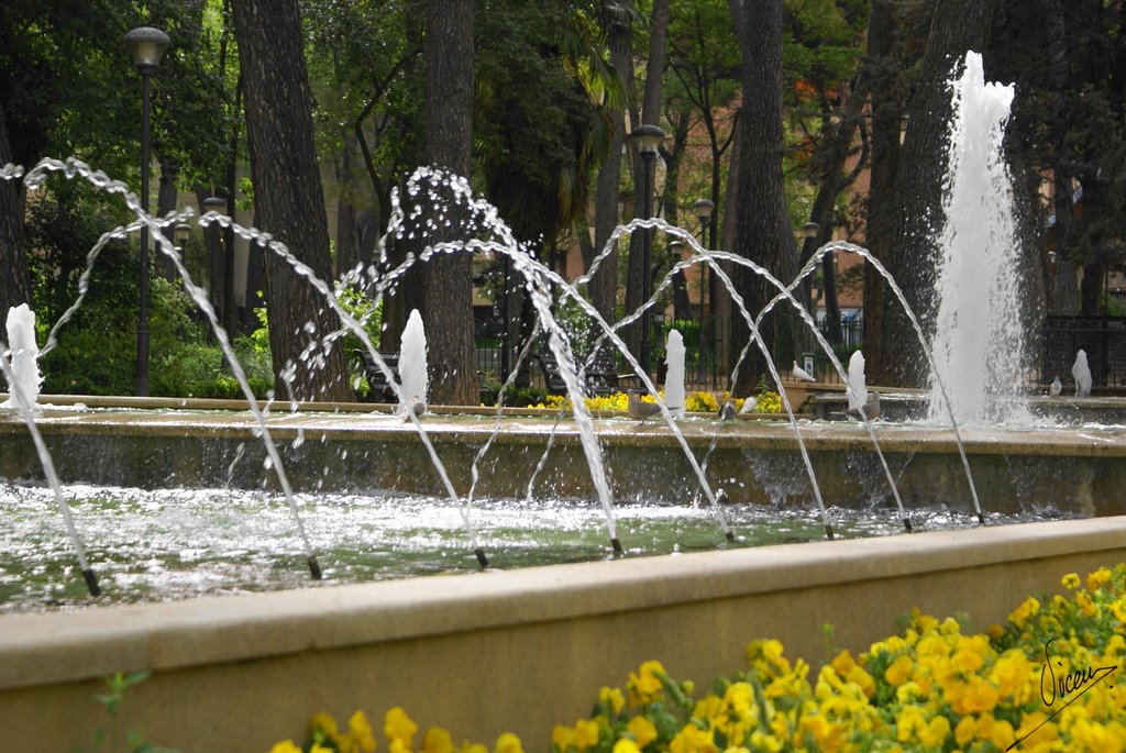 Foto de Albacete (Castilla La Mancha), España