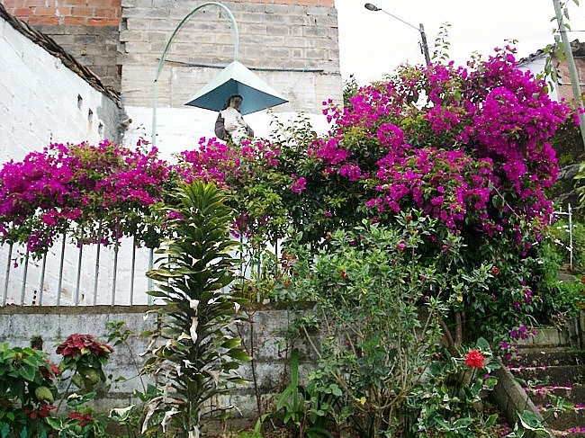 Foto de Donmatías, Antioquia, Colombia