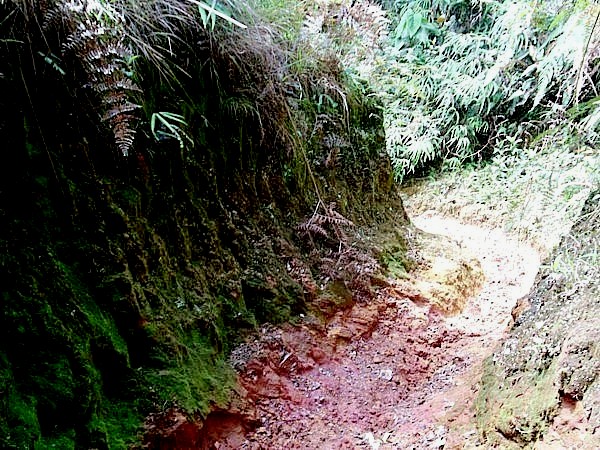 Foto de Donmatías, Antioquia, Colombia