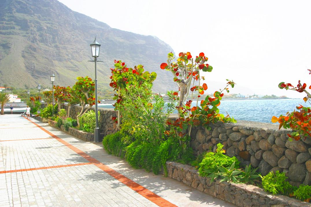 Foto de Valle Gran Rey - La Gomera (Santa Cruz de Tenerife), España