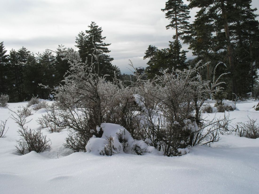 Foto de Tragacete (Cuenca), España