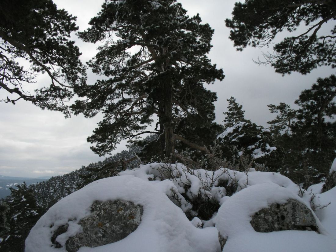 Foto de Tragacete (Cuenca), España