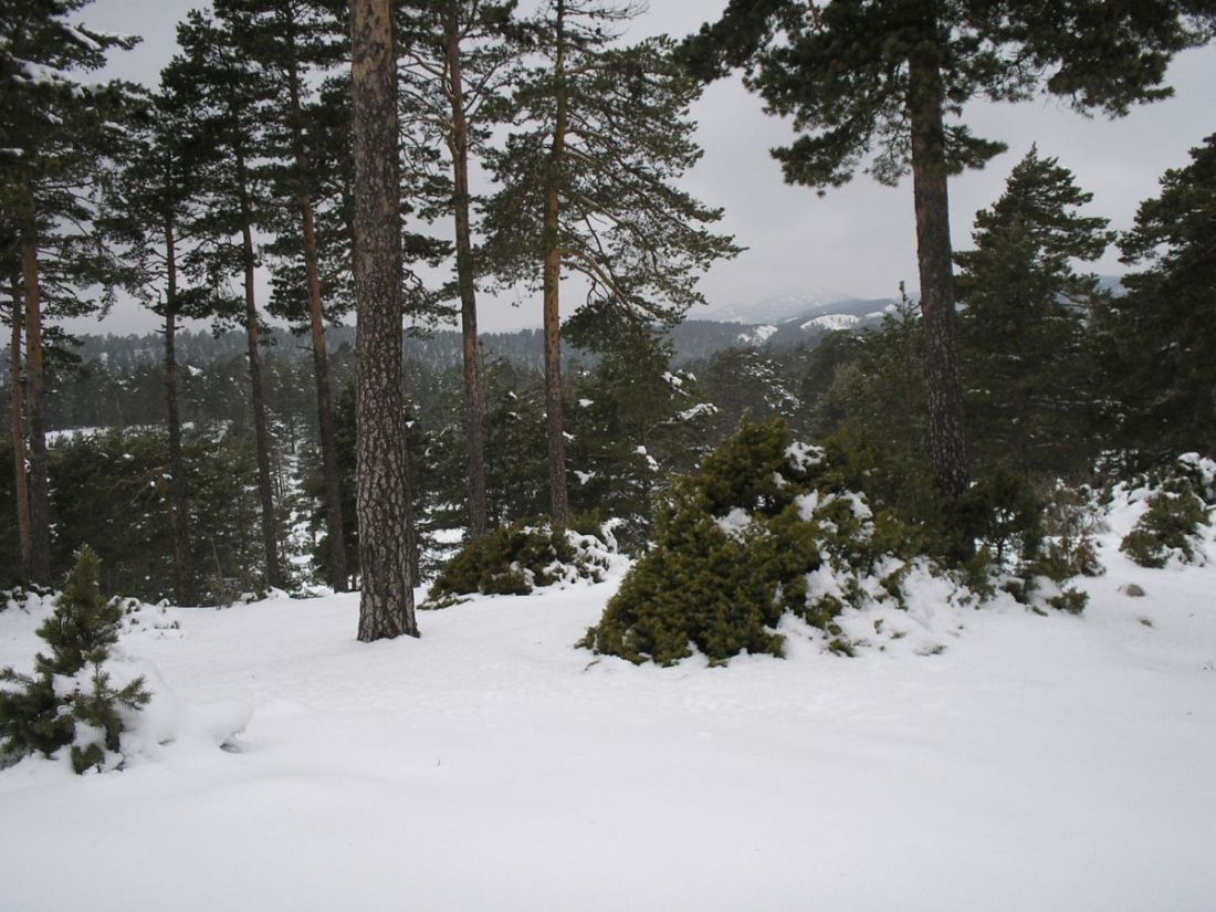 Foto de Tragacete (Cuenca), España