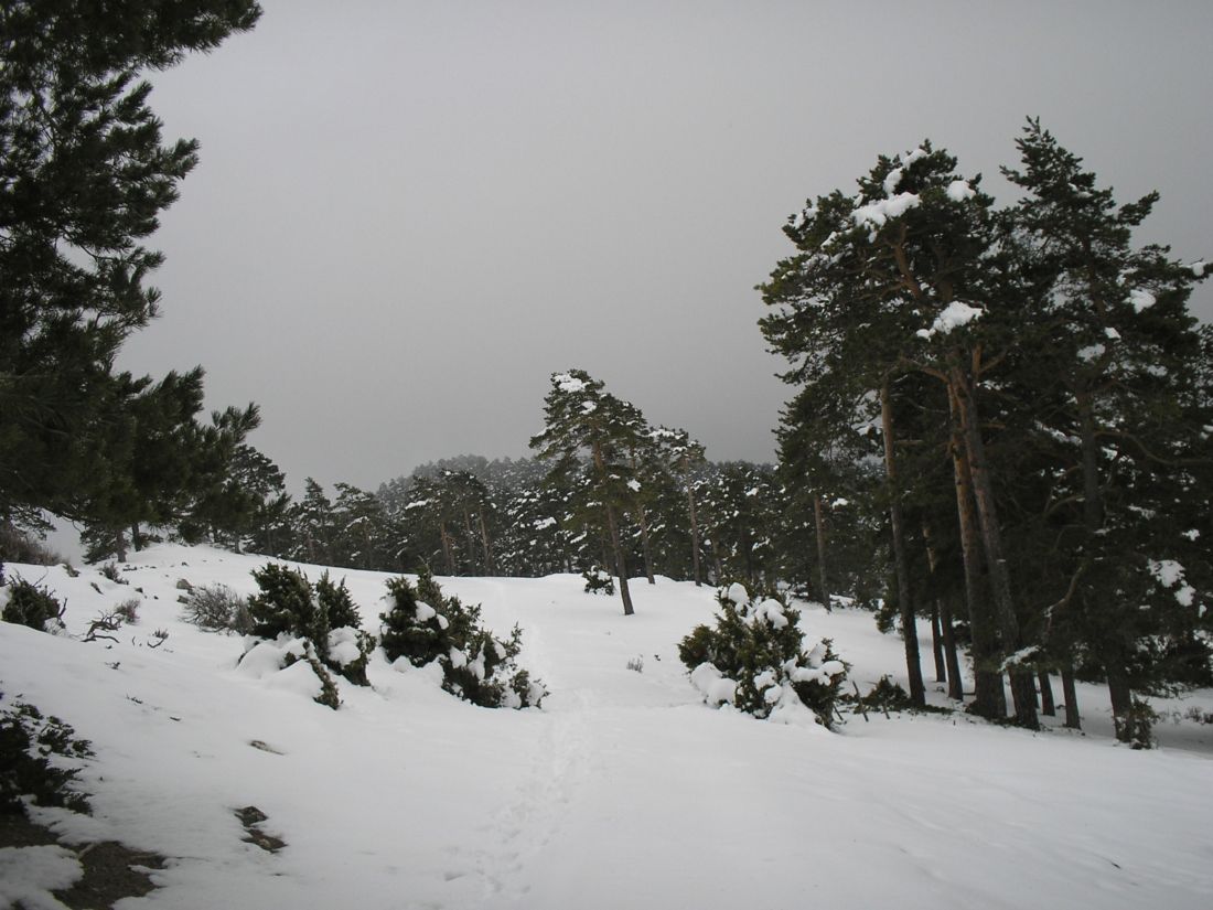 Foto de Tragacete (Cuenca), España
