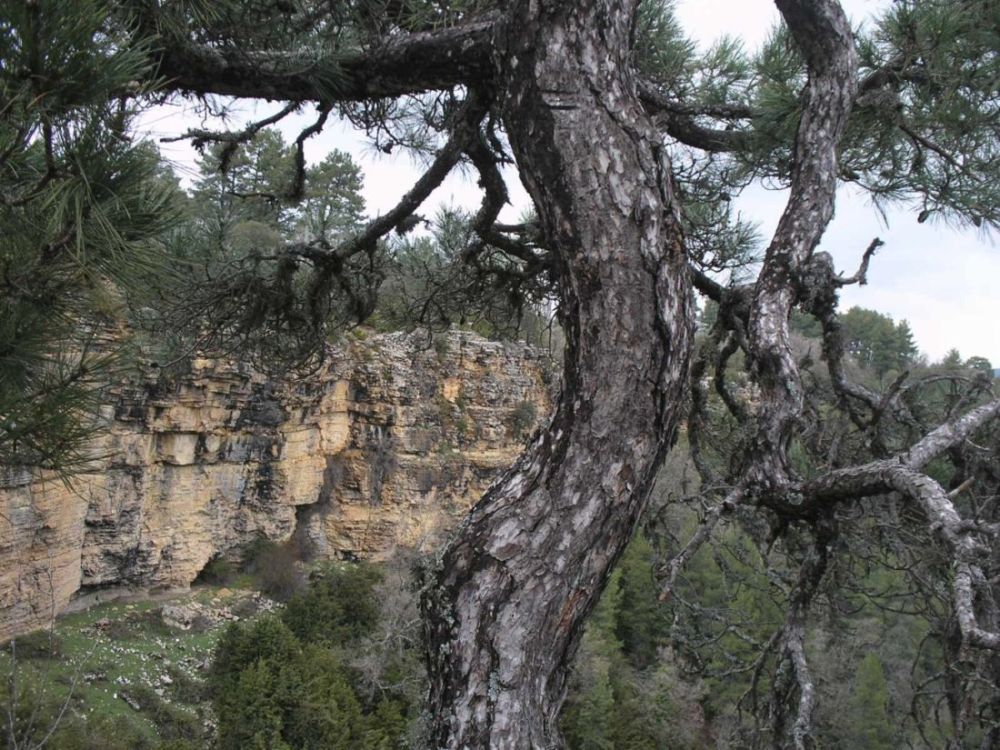 Foto de Las Majadas (Cuenca), España