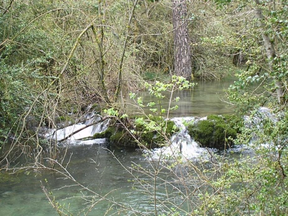Foto de Vega del Codorno (Cuenca), España
