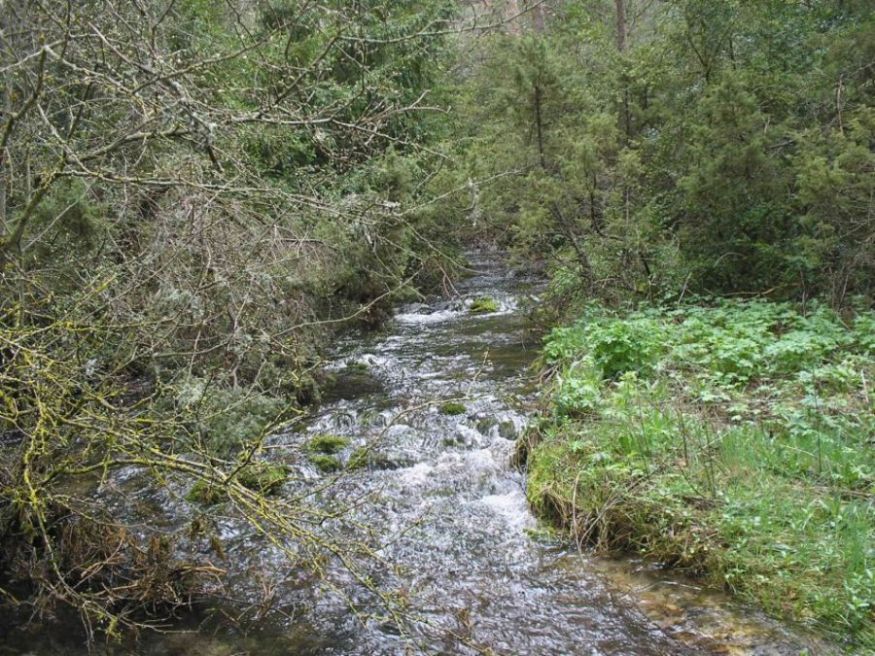 Foto de Vega del Codorno (Cuenca), España