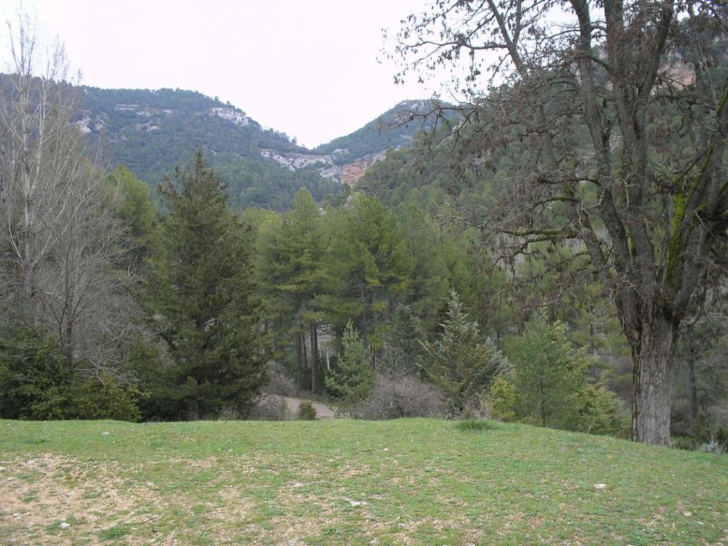 Foto de Las Majadas (Cuenca), España